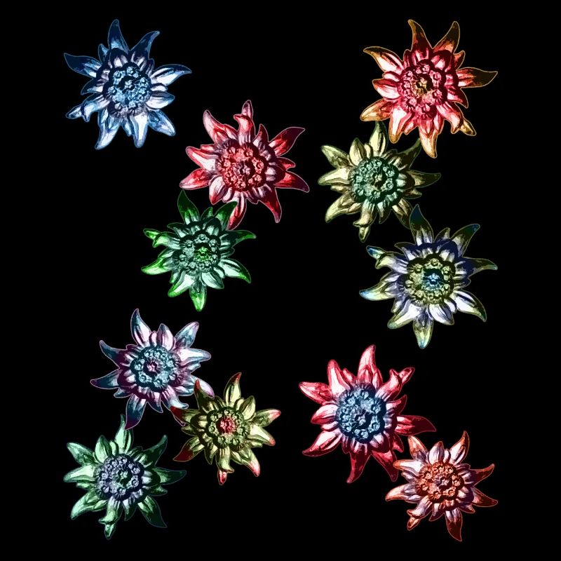 Conception de costumes traditionnels avec Edelweiss coloré /