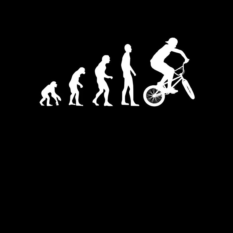 BMX Evolution