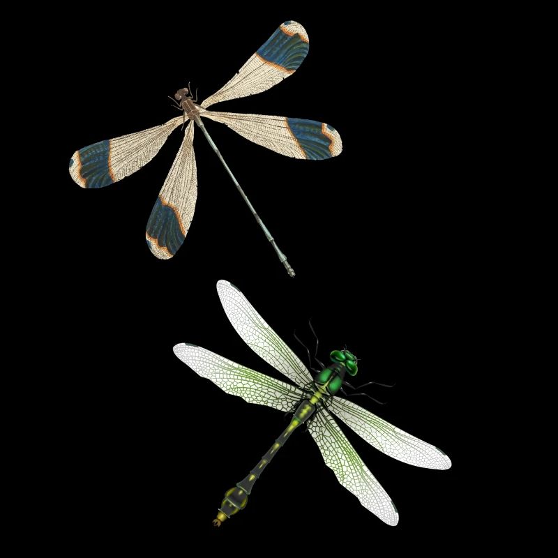 Dragonfly Insect Yoga Meditation Summer Pattern