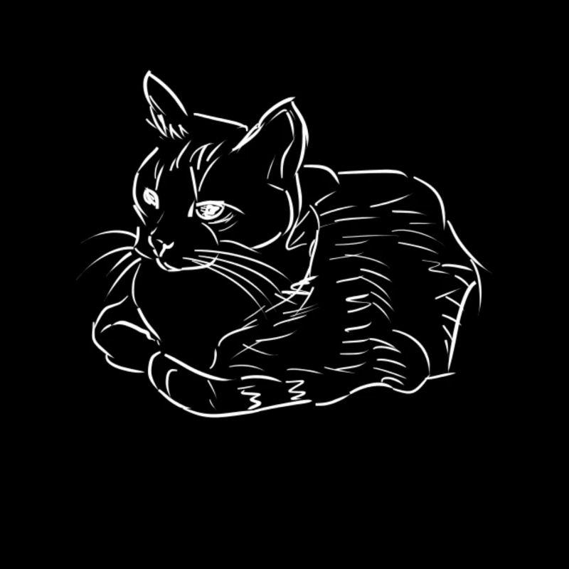 Große Katze Kater Cat Geschenk Geschenkidee