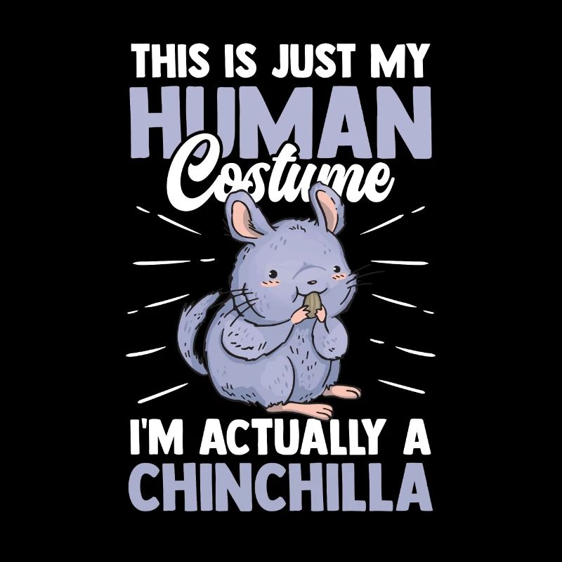 Chinchilla nur ein Kostüm Wollmaus