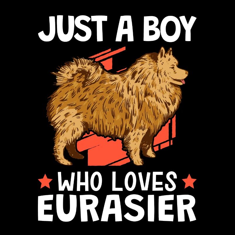 Nur eine Junge der Eurasier liebt Eurasian Dog