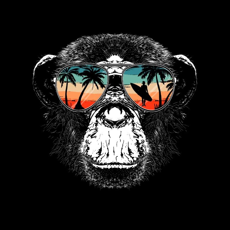 Singe Singe Animal Gorille Chimpanzé