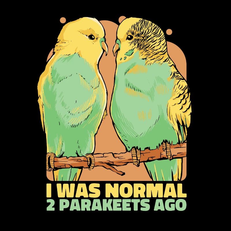 Perruche Budgerigar Oiseau Animal