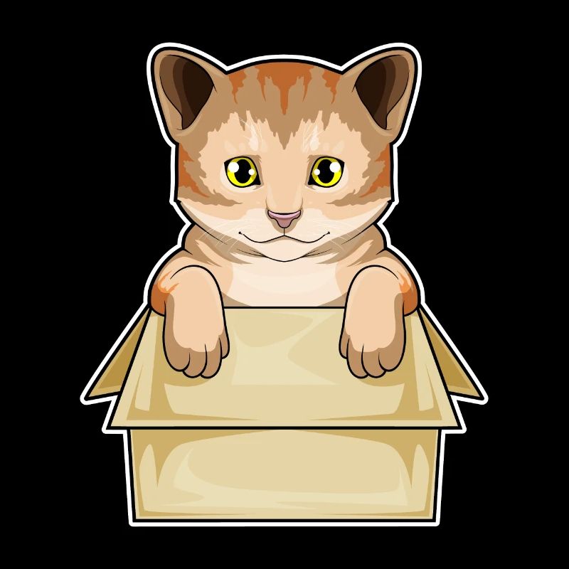 Cat Box