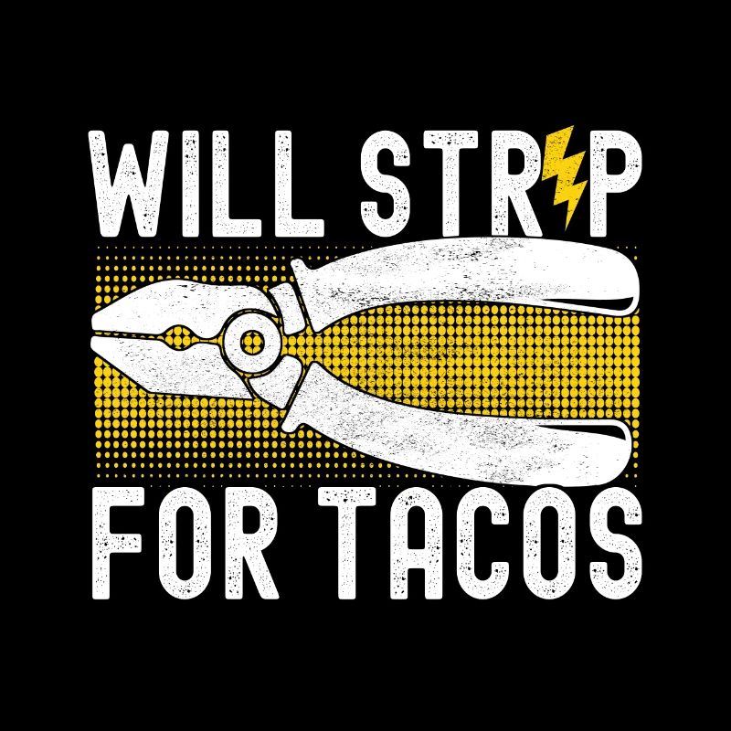 Electrician Electronics Technician