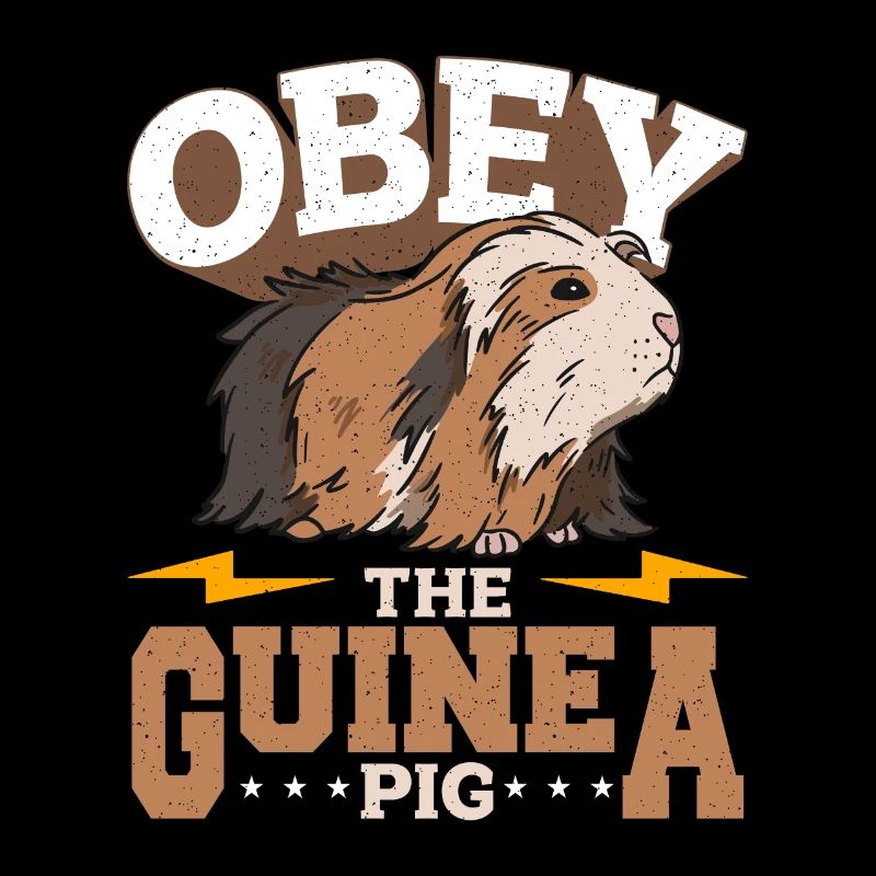 Cochon d’Inde Obéir à l’amoureux des animaux du cochon d’Inde Cavy