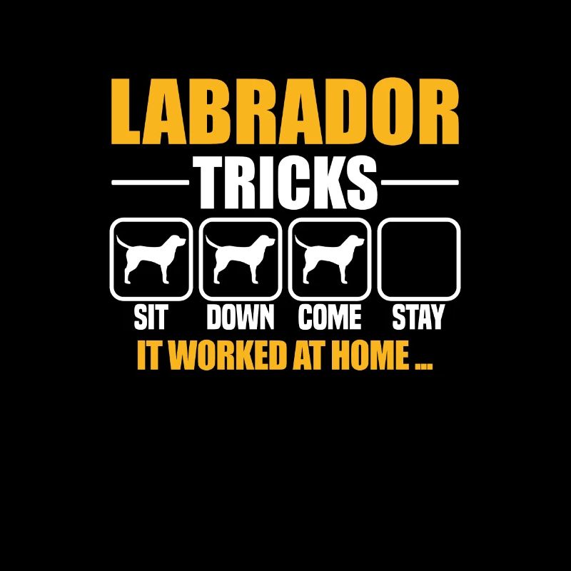 Labrador Tricks