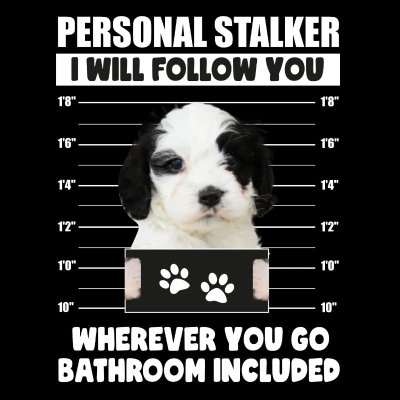 Funny Personal Stalker Dog Cavapoo Owner Gift