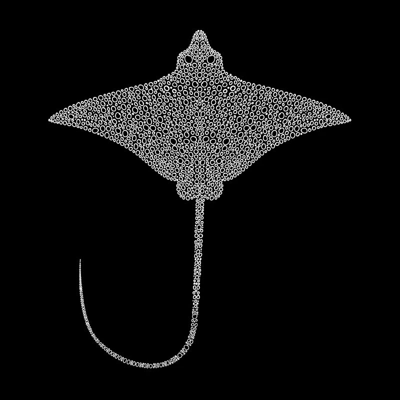 Rochen – Eleganter Schwimmer der Meere