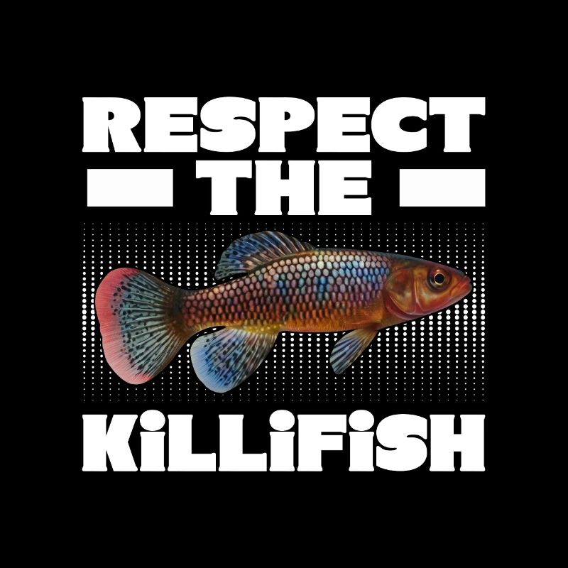 Killifish Quarium Fish
