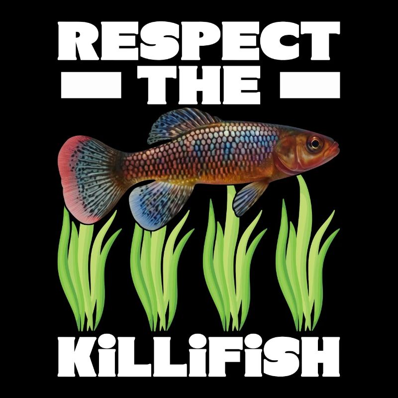 Killifish Quarium Fish