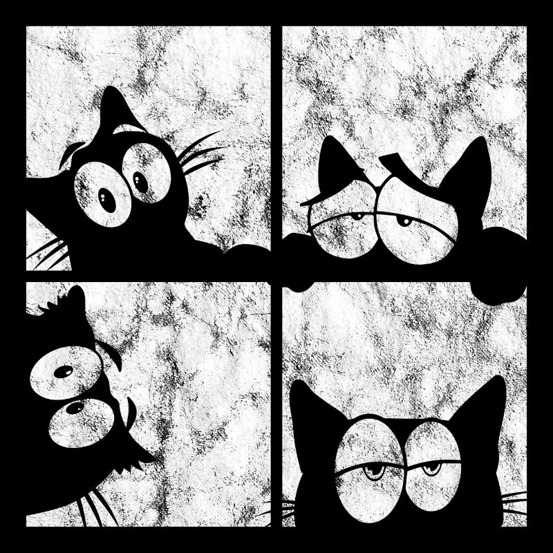 Chat Chat Miau Chat Rétro Chat Chat
