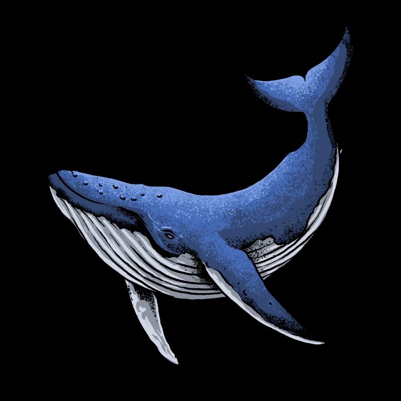 Blauer Orca-Wal-Geschenk