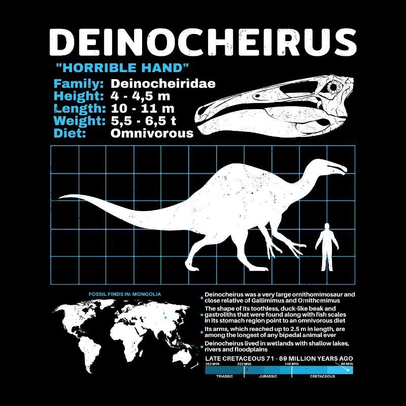 Deinocheirus Fact Sheet