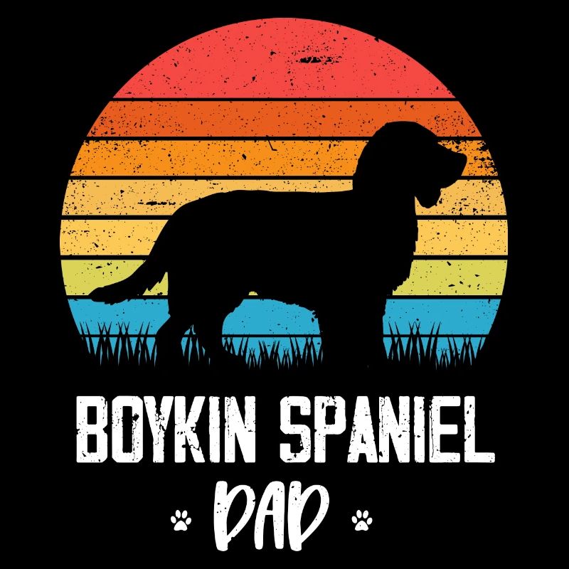 Boykin Spaniel