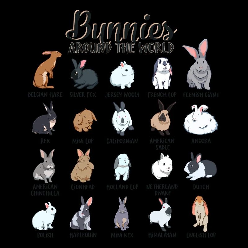 Lapins du monde - Races de lapins