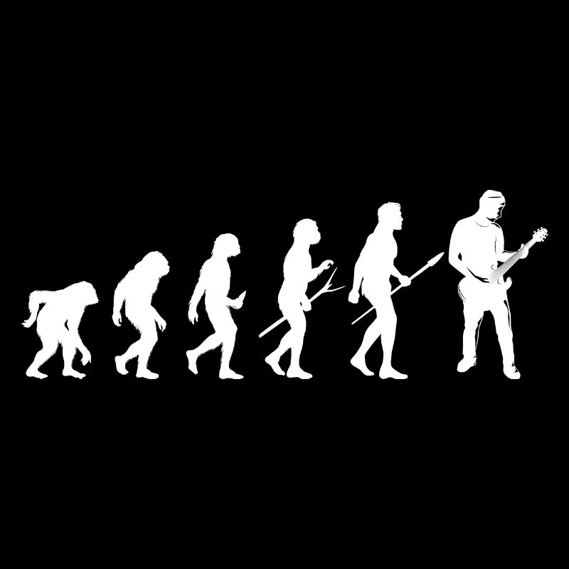 guitar guitare evolution