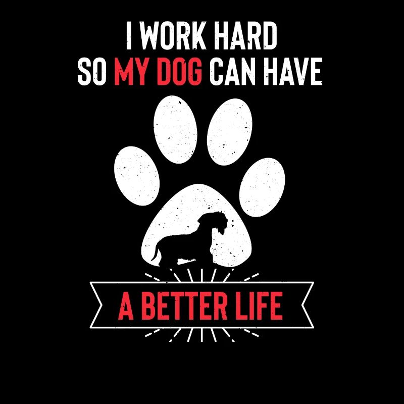 Cesky Terrier Hund - Cesky Terrier