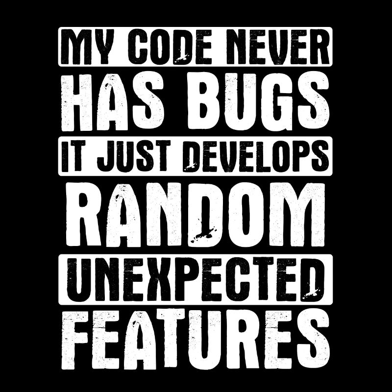 Software Ingenieur Informatiker Programmierer