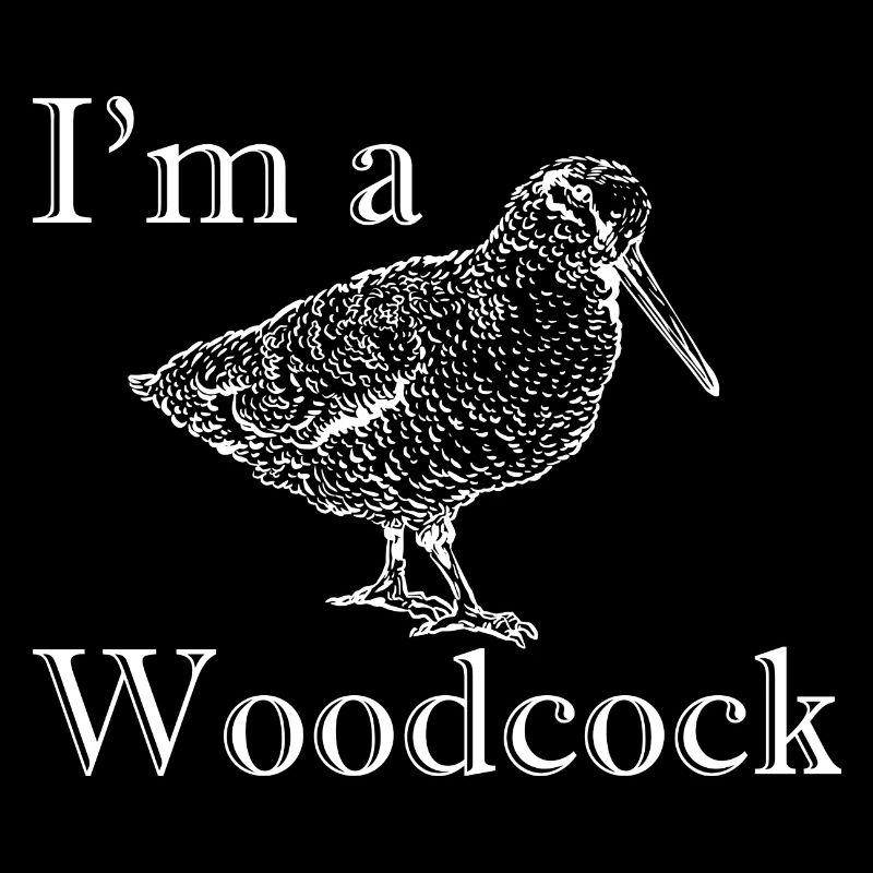 Ich bin eine Waldschnepfe