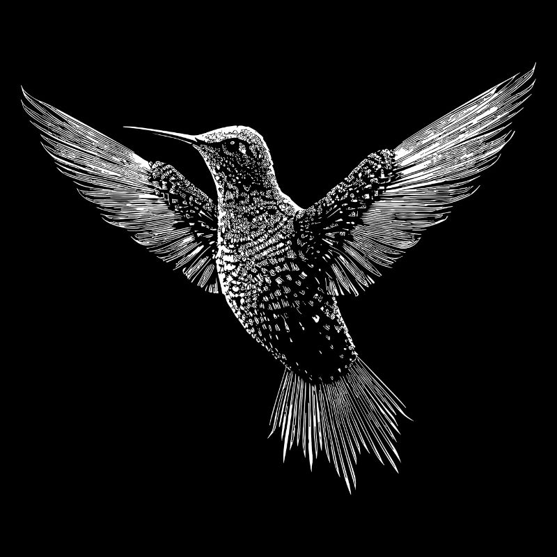 Colibri, oiseau mignon en code ASCII