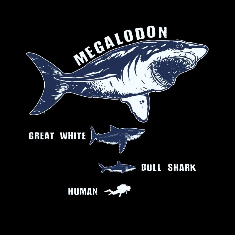 Requin requin de requin de megalodon requin blanc plongeur