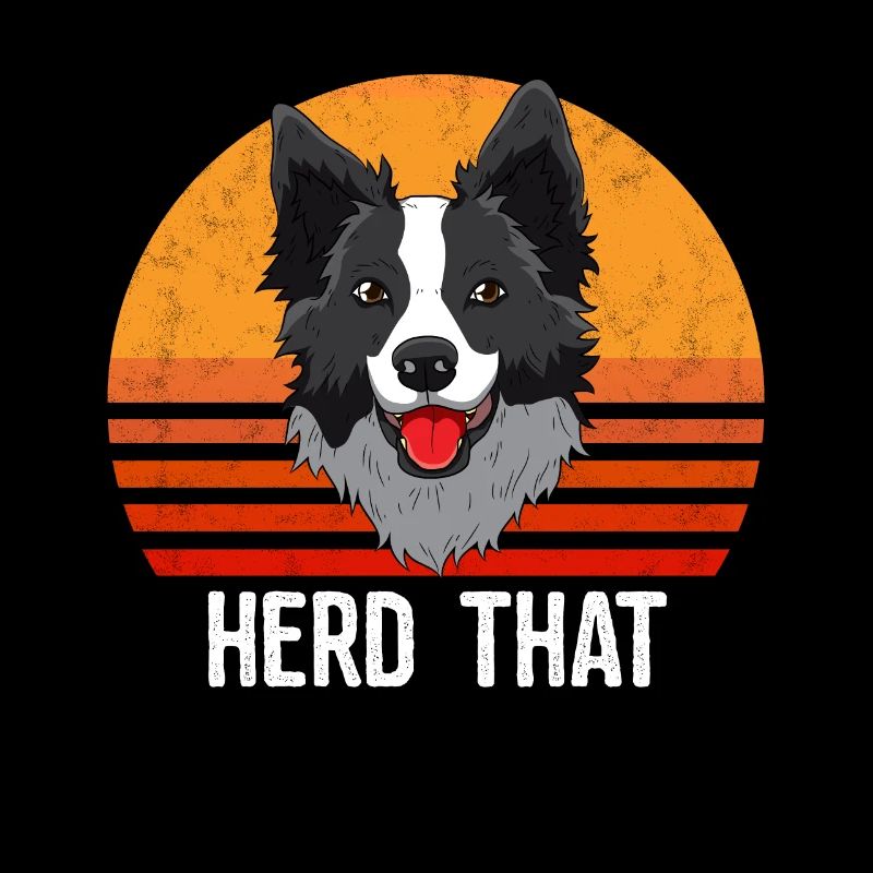 Herd, Border Collie Collies lover herding