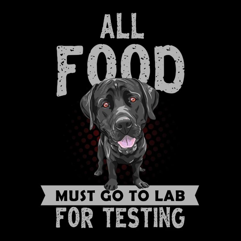 Labrador, Labrador Hund, Hundehalter,