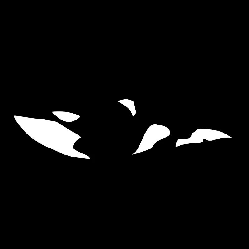 Orca Baleine mer