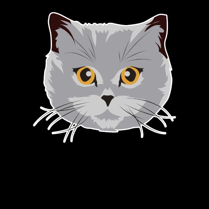 Wunderschöne Britisch Kurzhaar Katze BKH Geschenk