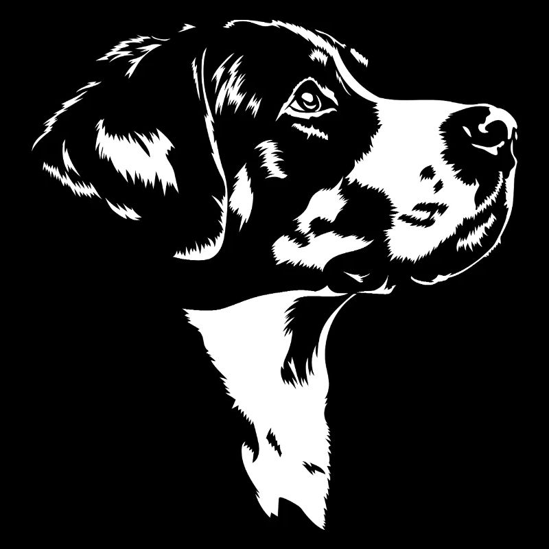 Grosser Schweizer Sennenhund Silhouette Wilsigns