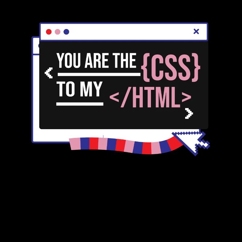 Software Developer Engineer