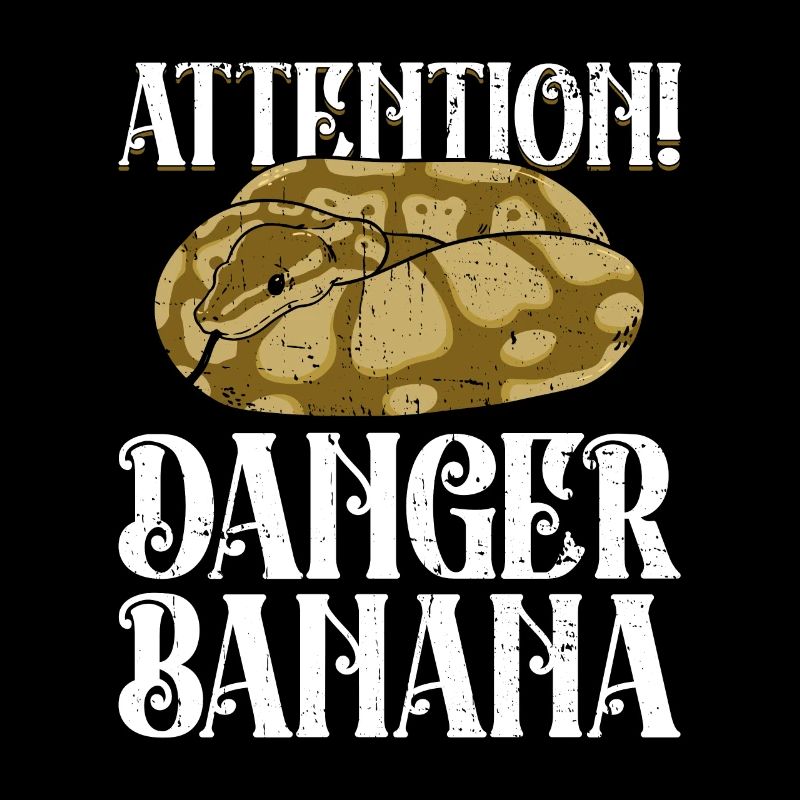 Königspython Banane Königspython Schlange