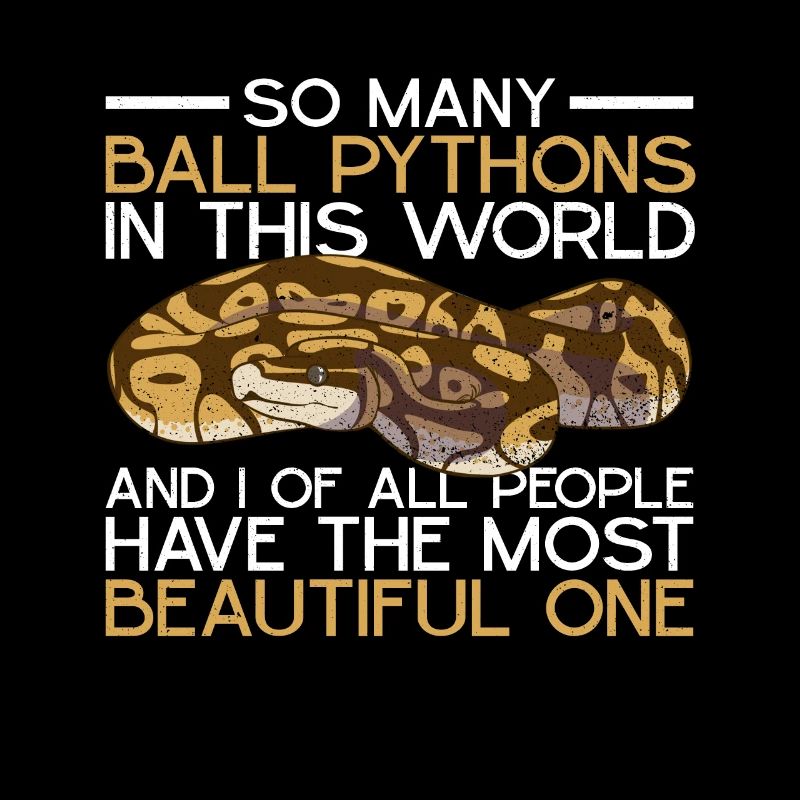 Banane Königspython