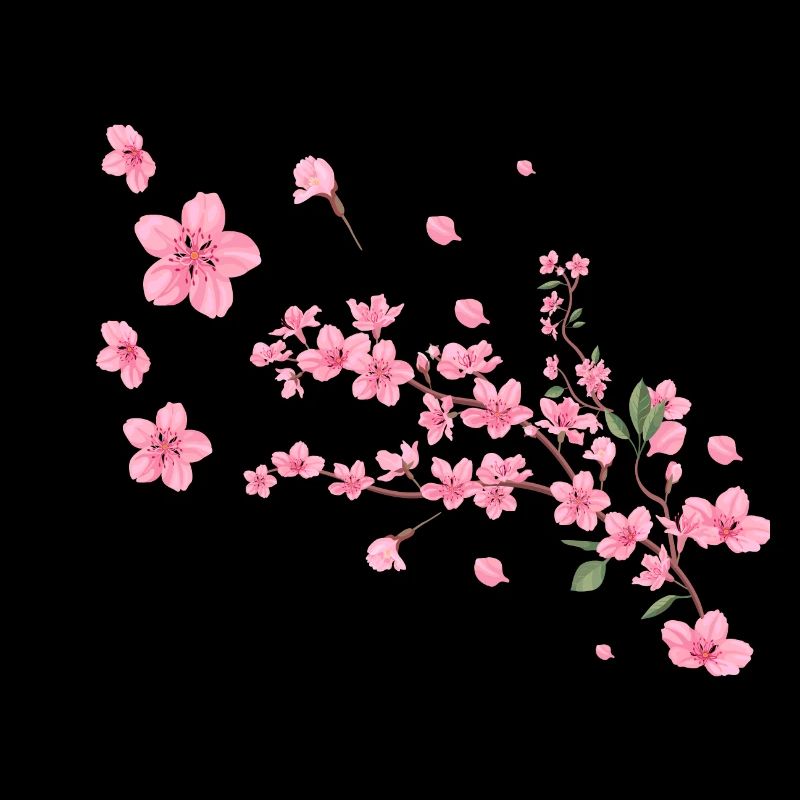 Sakura, fleur de cerisier, fleurs, fleur de cerisier