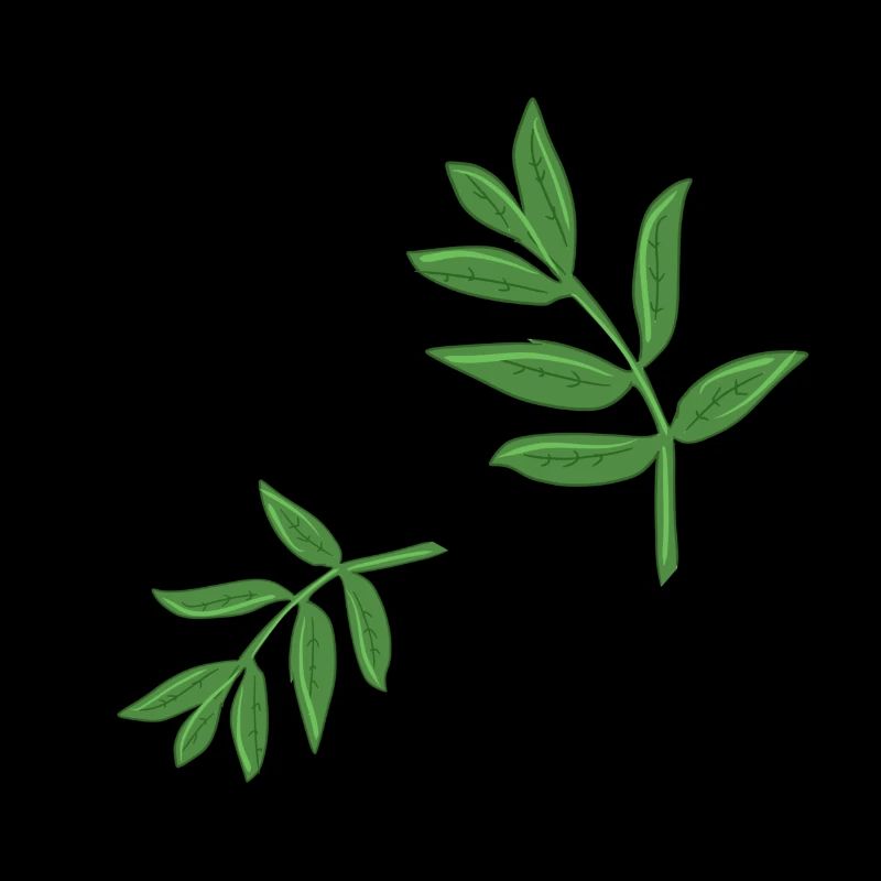 leaves plant spring natural pattern leaf