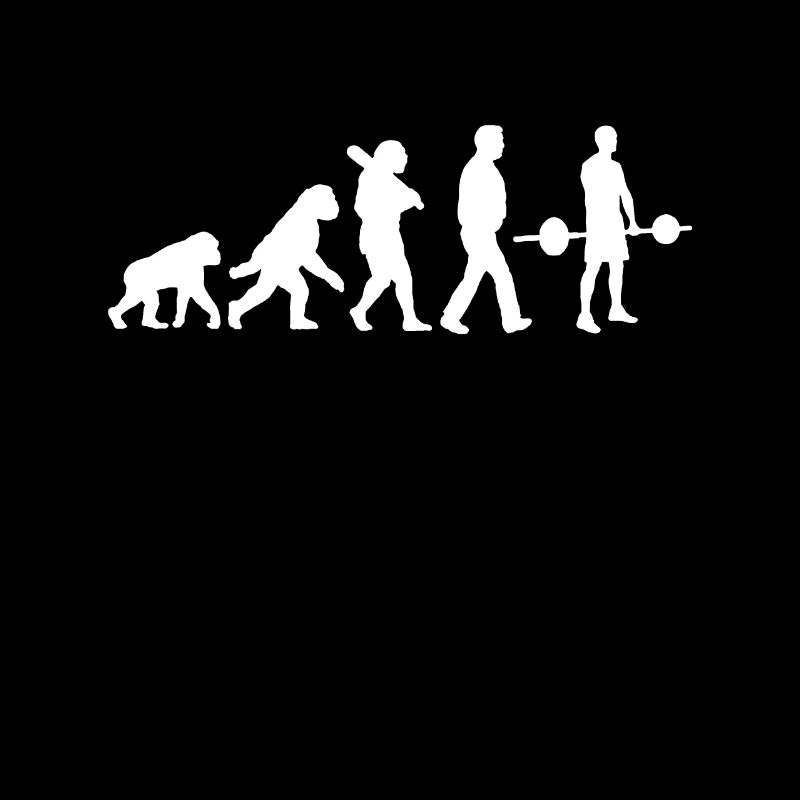 Évolution du gymnase