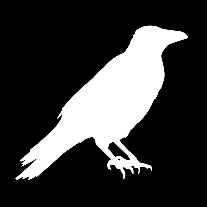 Corbeau - corbeau - silhouette oiseau