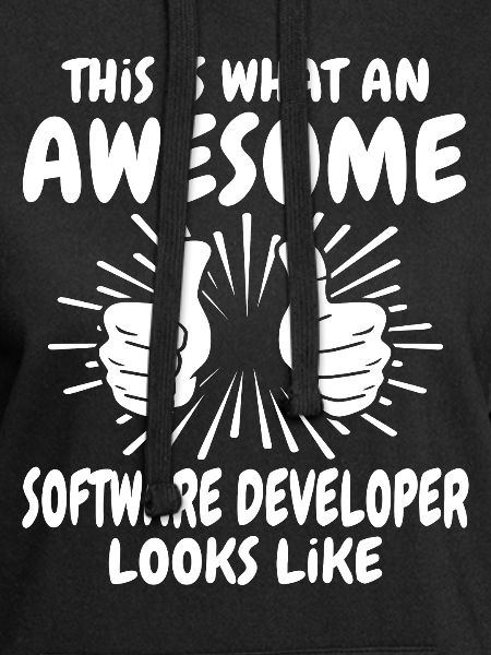 Software Developer