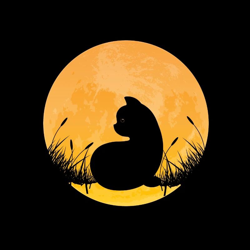 Cats moon