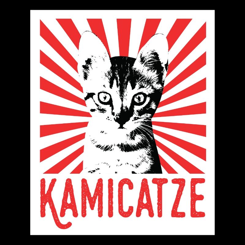 Kamicatze süße Katze cat grumpy cat katzen Katzen