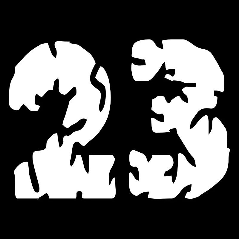 Maillot 23 numéros