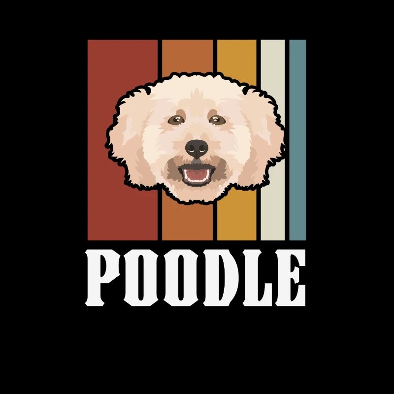 Smiling dwarf poodle retro