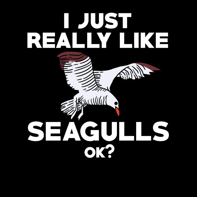 Drôle de mouette