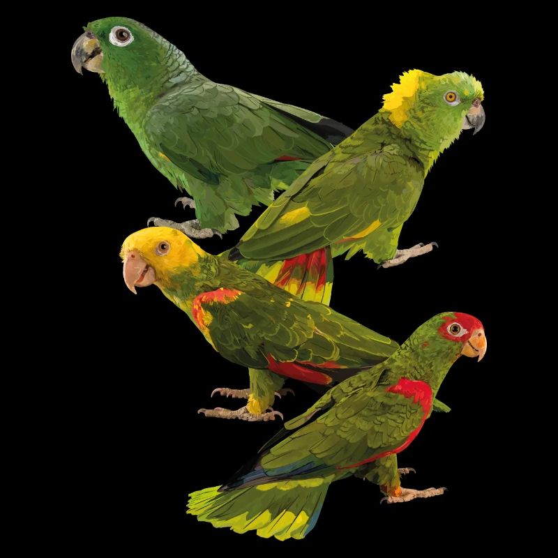 Parrots