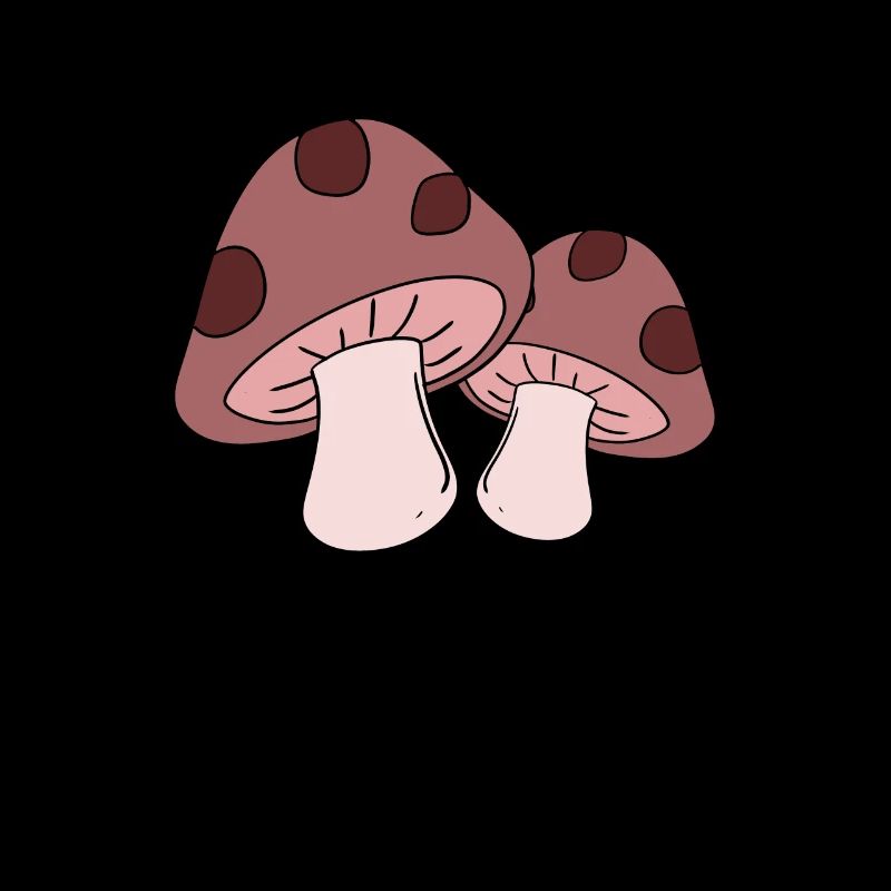 Champignons cueillette champignons