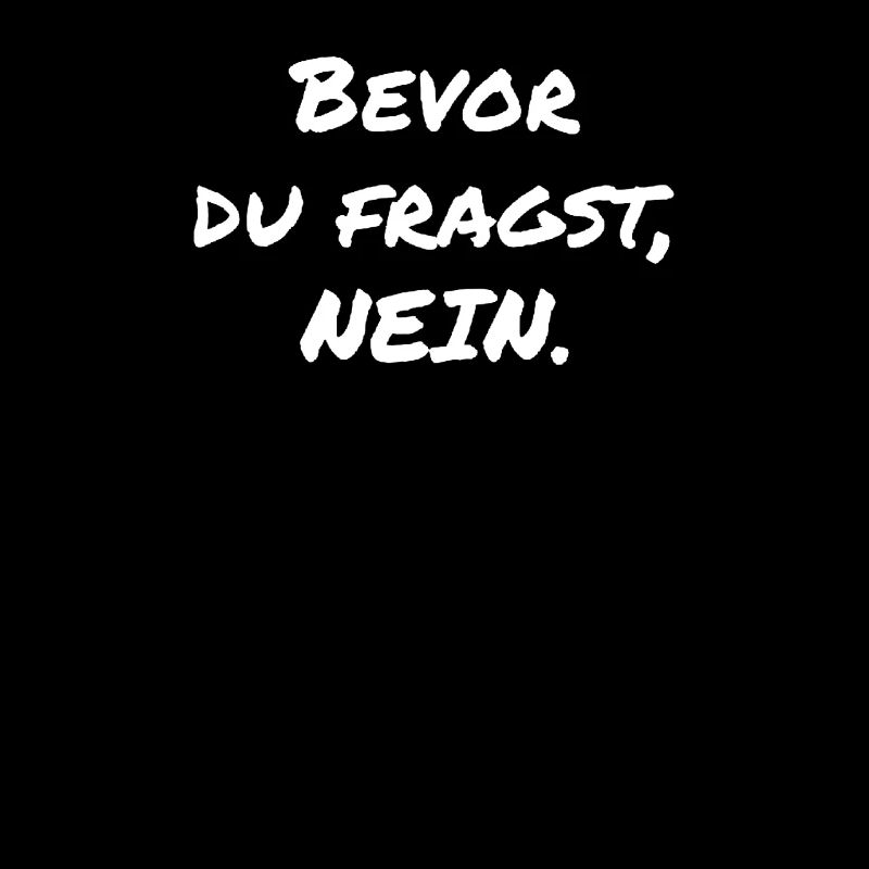 BEVOR DU FRAGST: NEIN!