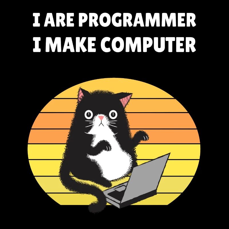 I are Programmer I Make Computer