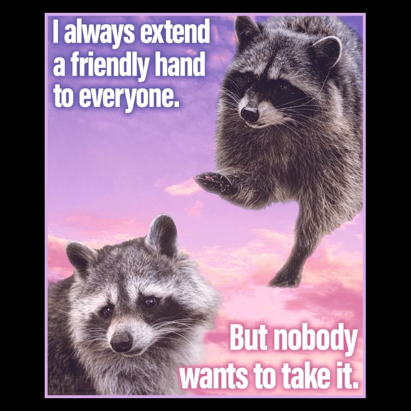 Triste raton laveur drôle raccon Meme Trash Panda